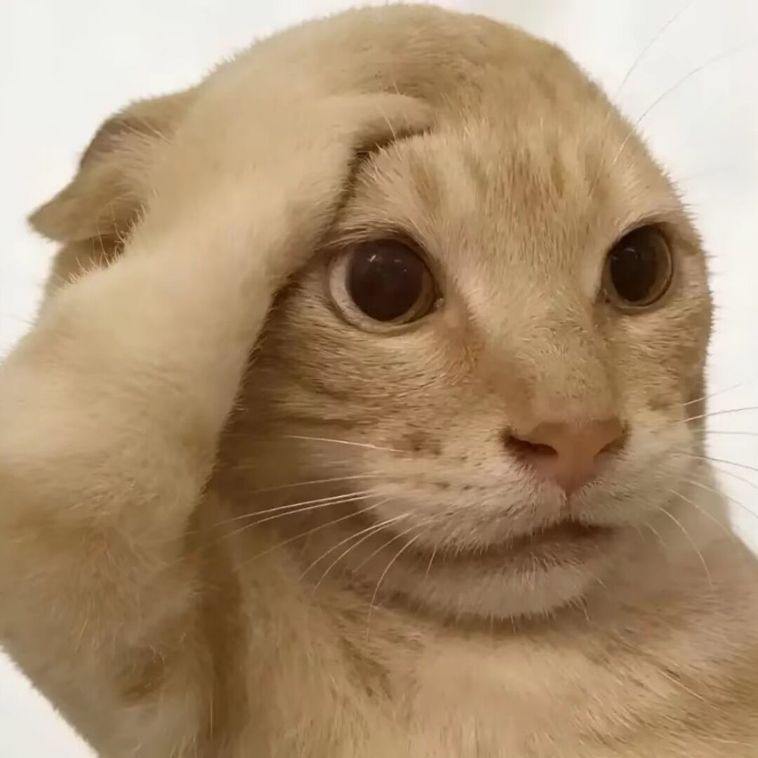 qq_珂79