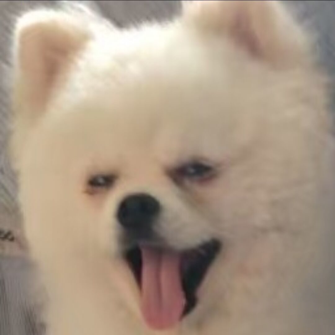 qq_琪酱45