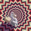 绫濑桃-十一实验室