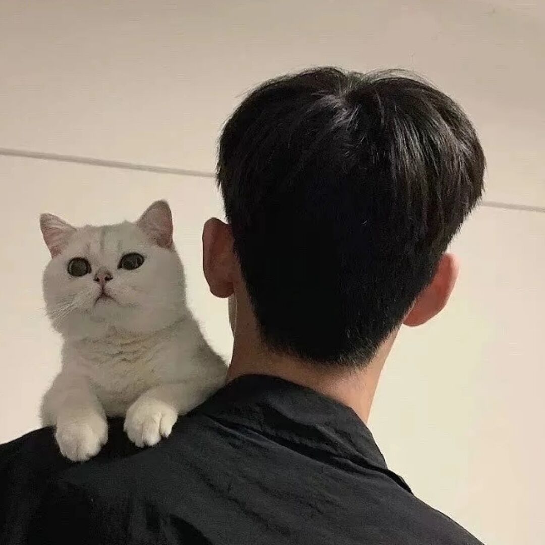 qq_淦64