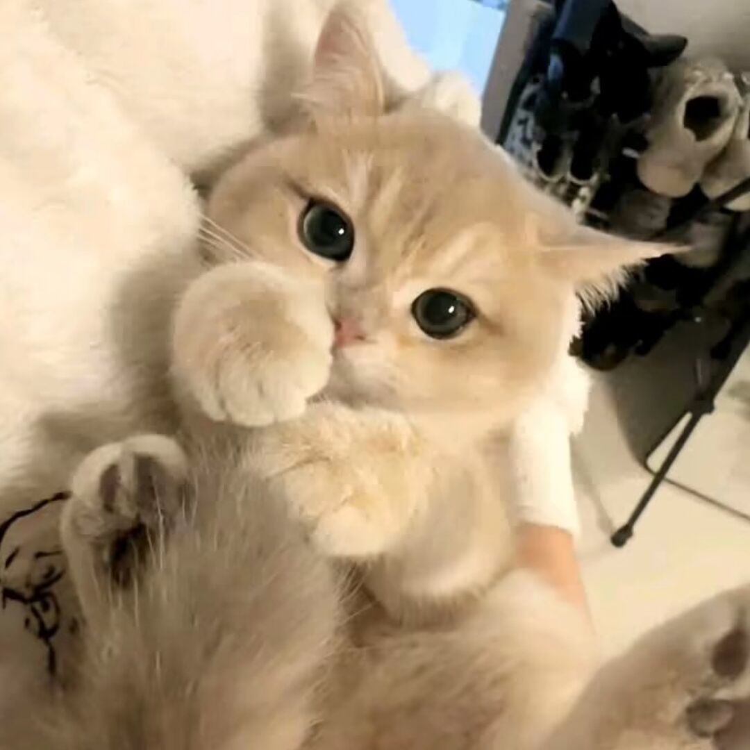 qq_搁浅.13