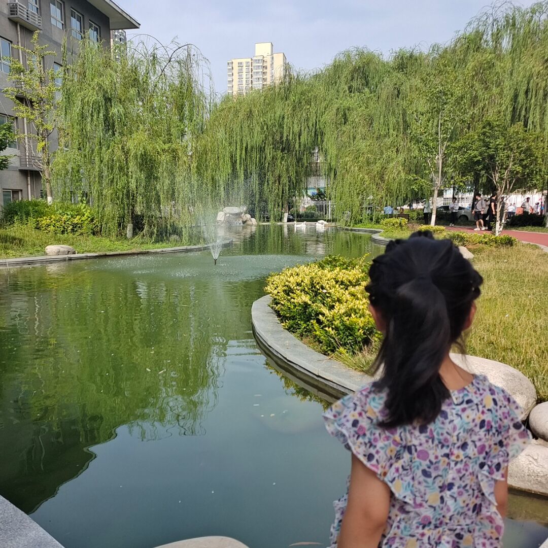 qq_晨曦72