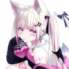 ShanLongjun-【TITAIKE】T太科网