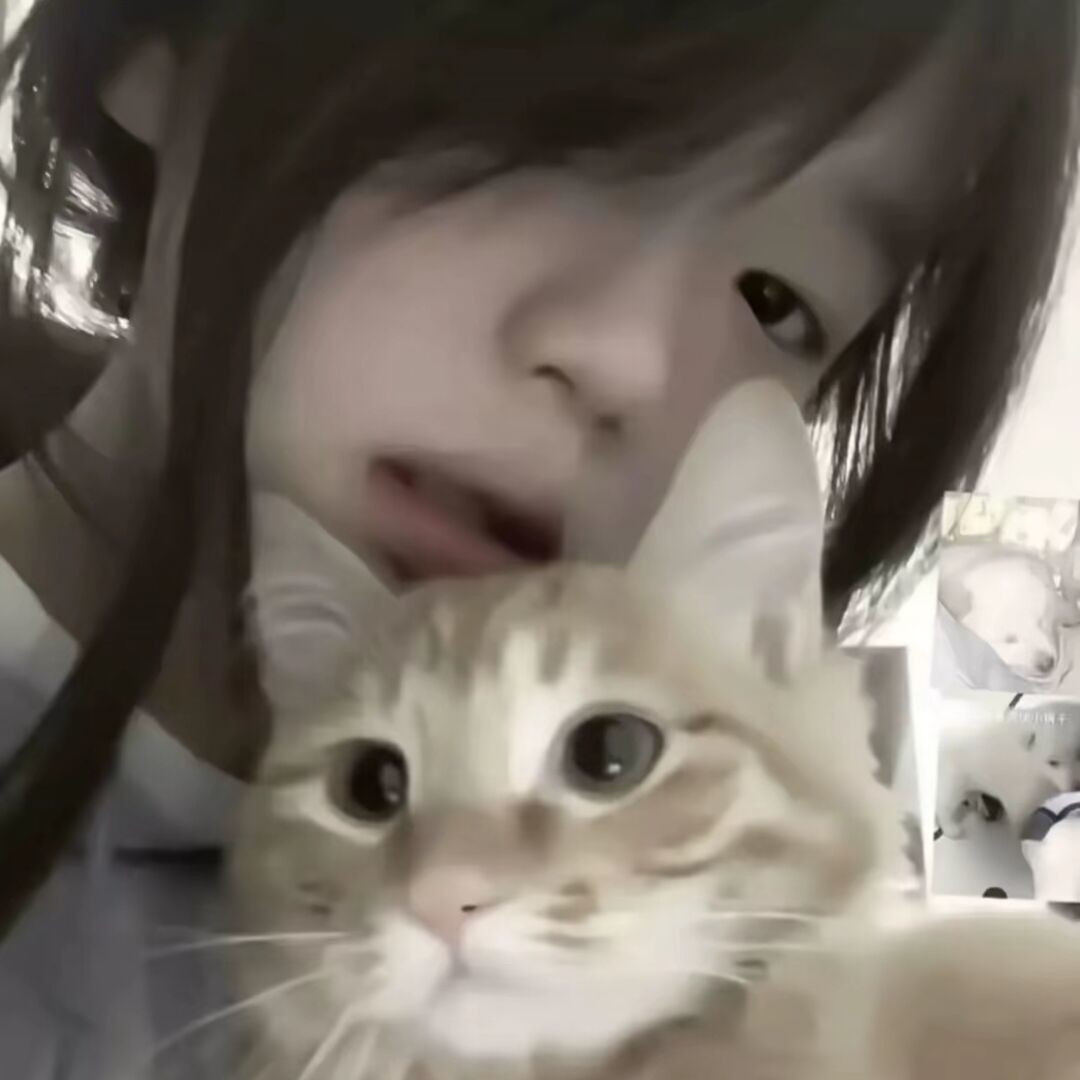 qq_瑶妞妞.50