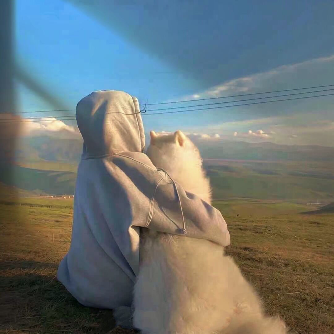 qq_დ᭄ꦿ独孤꧔ꦿ℘⸙54