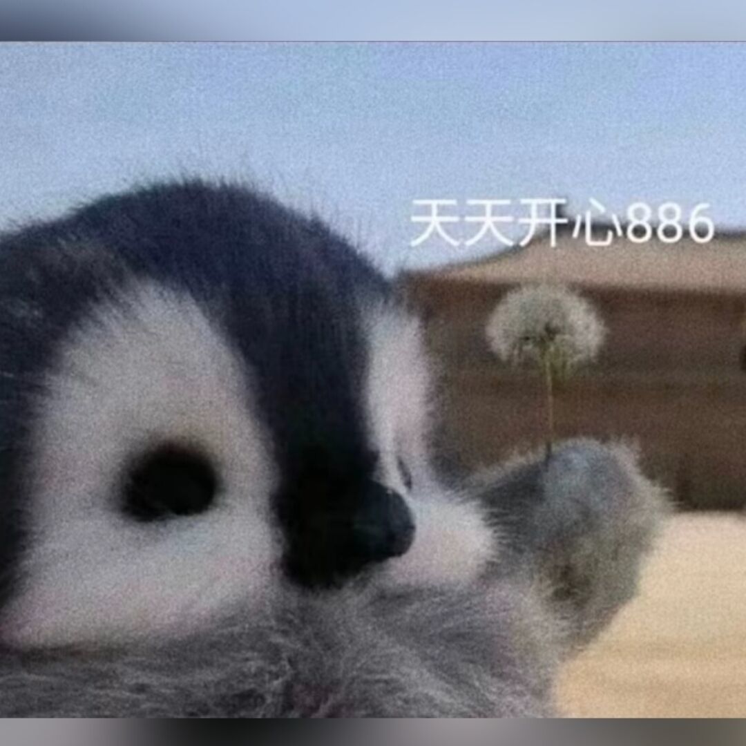 qq_纤痕74