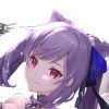 wskqdg-【TITAIKE】T太科网