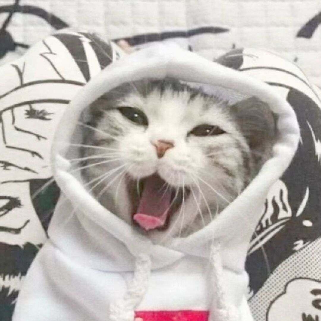 qq_。十二89