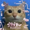 塑料树-【TITAIKE】T太科网