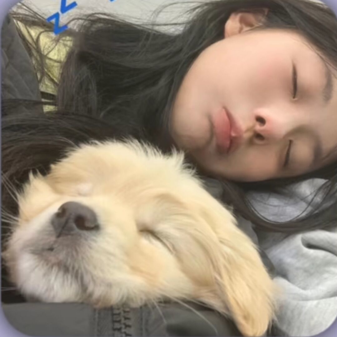 qq_笨蛋ᒢᐜ68