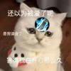 weixiwu26 - 极核GetShell