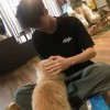 nanian-【TITAIKE】T太科网