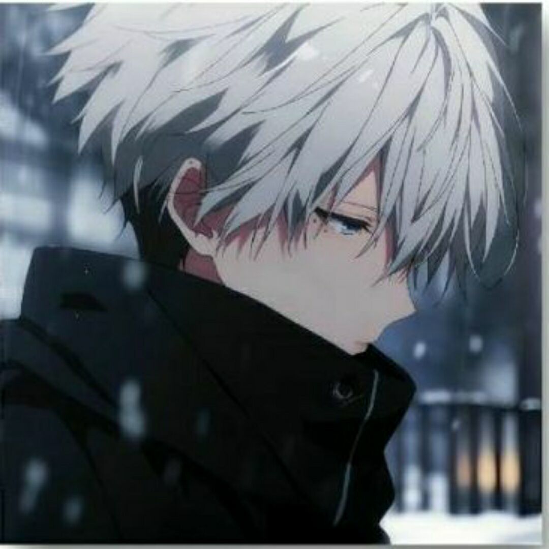qq_封24
