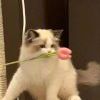 qwe@qwe-【TITAIKE】T太科网