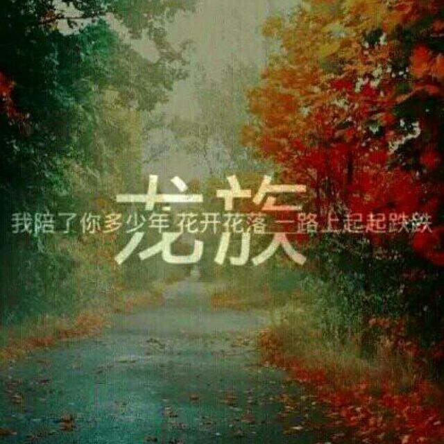 qq_Bad Guy58