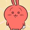 xiaobo_77-【TITAIKE】T太科网