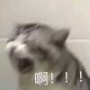 困困圆-【TITAIKE】T太科网