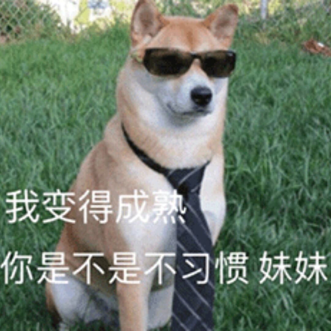 qq_水月心37