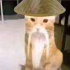 eeee1234-【TITAIKE】T太科网