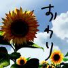 Zer0-【TITAIKE】T太科网