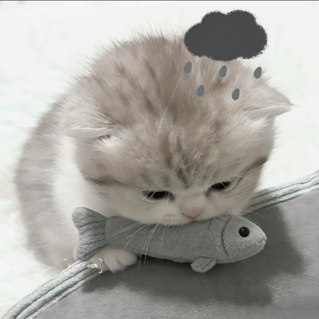 qq_祝余82