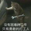 manbaout-【TITAIKE】T太科网