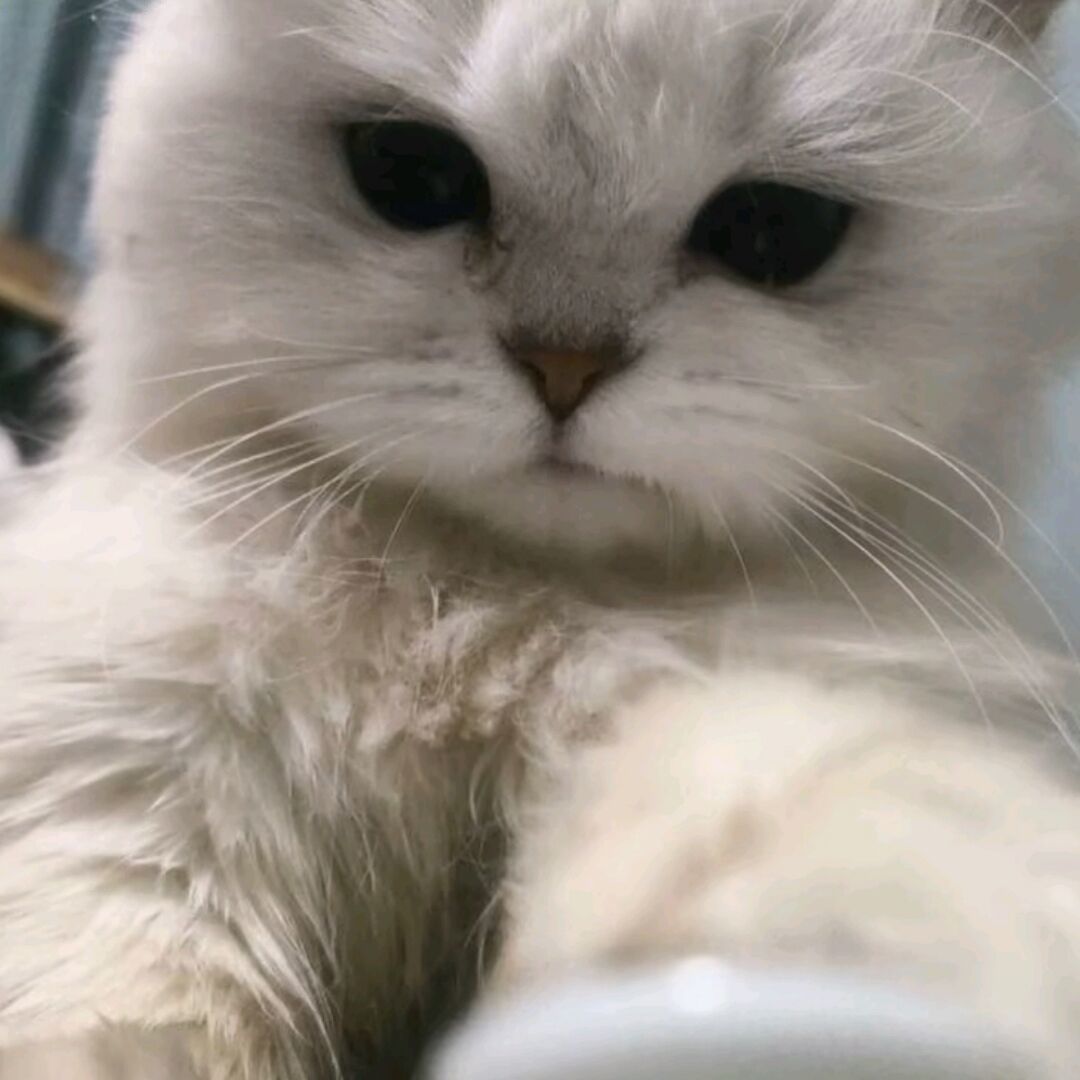 qq_寻潇53