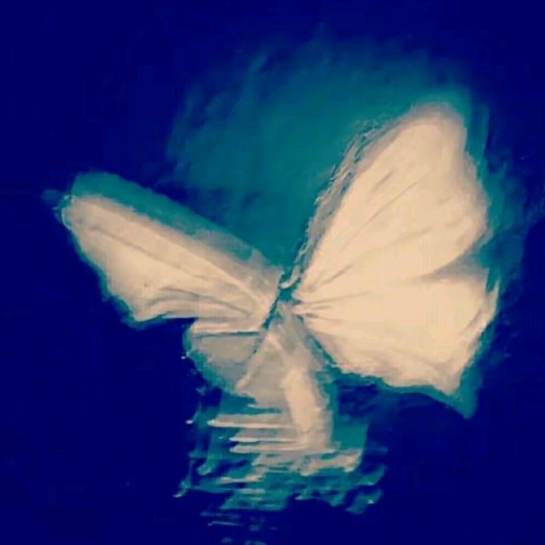 qq_HMH51