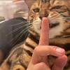 ：）-电气考研