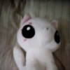 wmywrc-【TITAIKE】T太科网