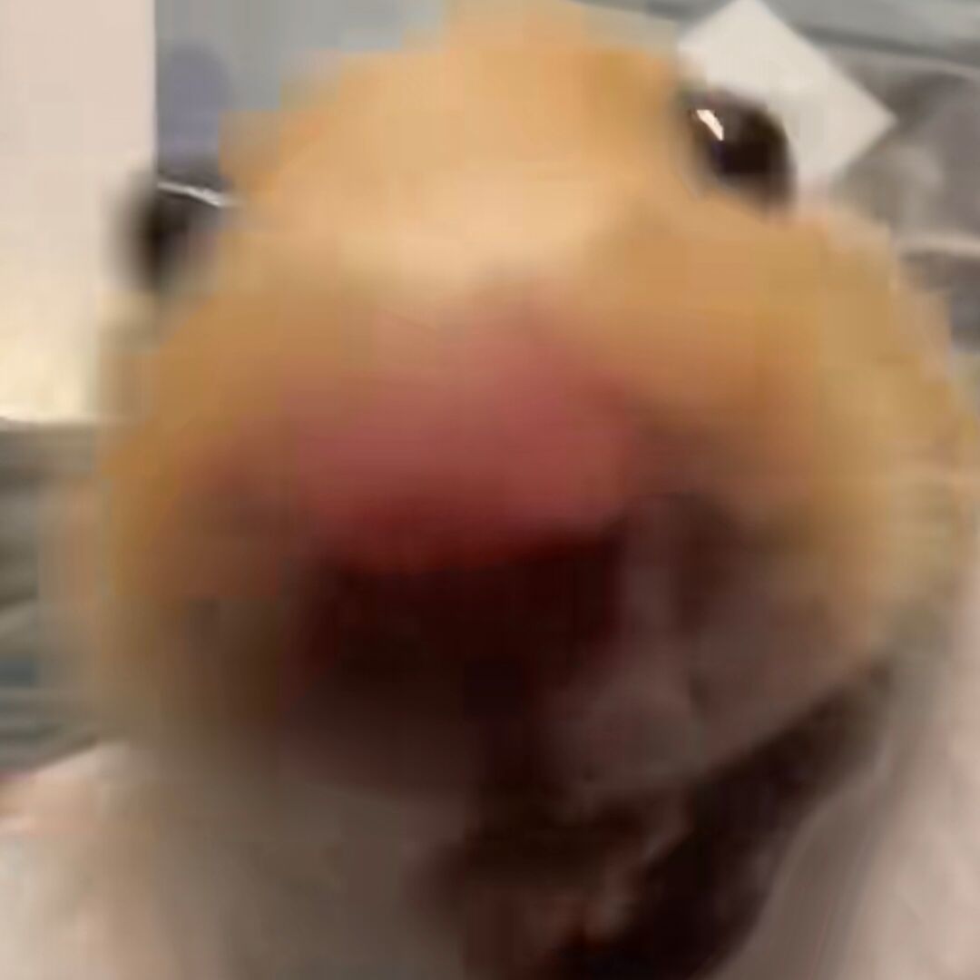 qq_臭老鼠91