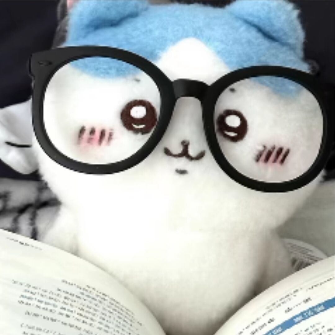 qq_馨20