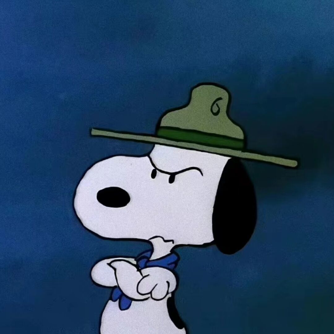 qq_阿兰佐罗耶夫81