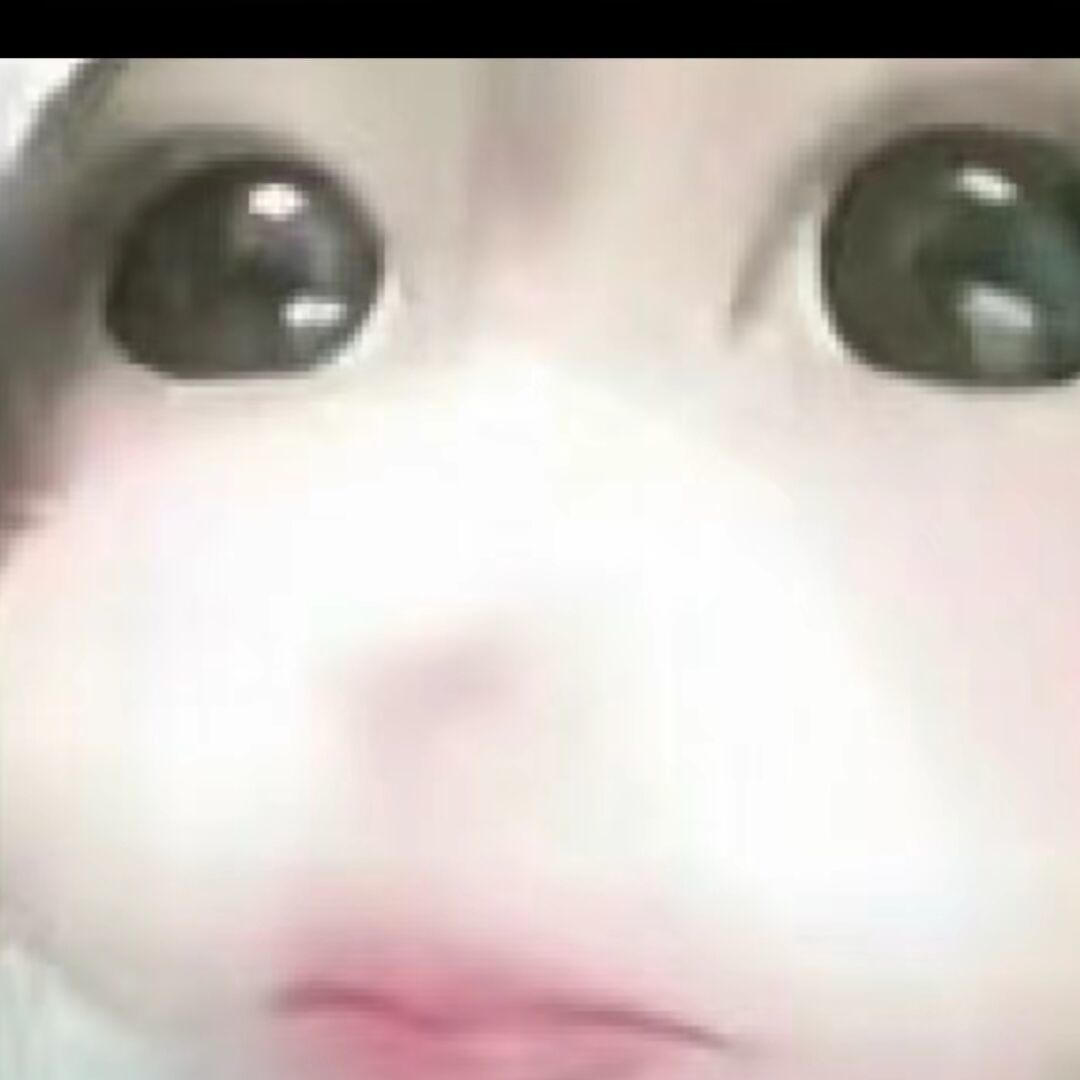 qq_迷人的母猪。75