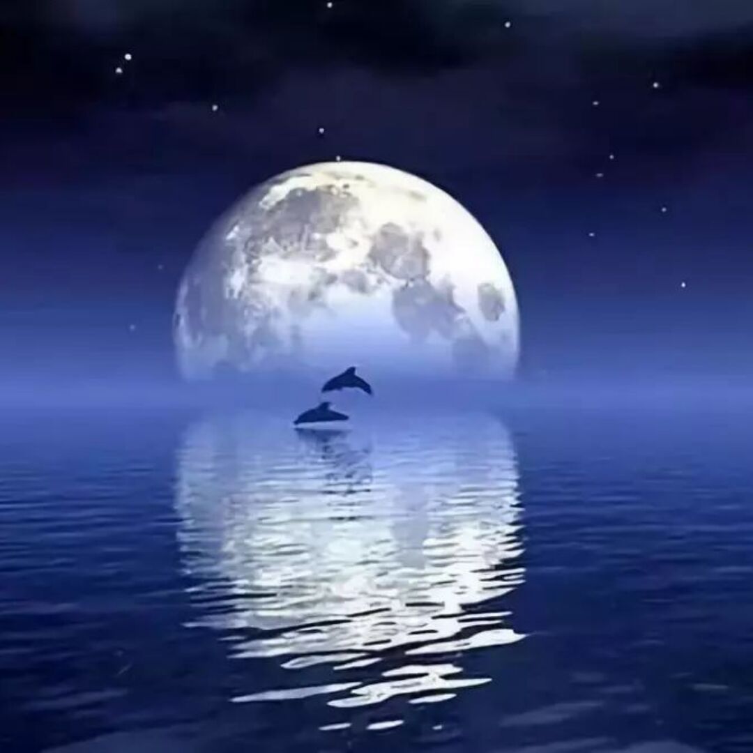 qq_90948418676