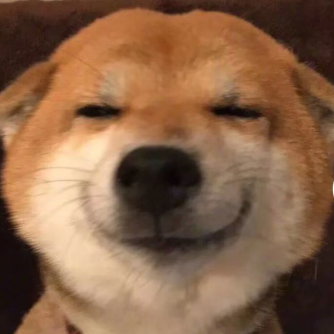 qq_猖狂14