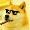 dogeSAMA-【TITAIKE】T太科网