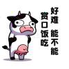 qq77037-小冯的小站