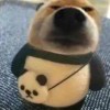 Rare114514-【TITAIKE】T太科网