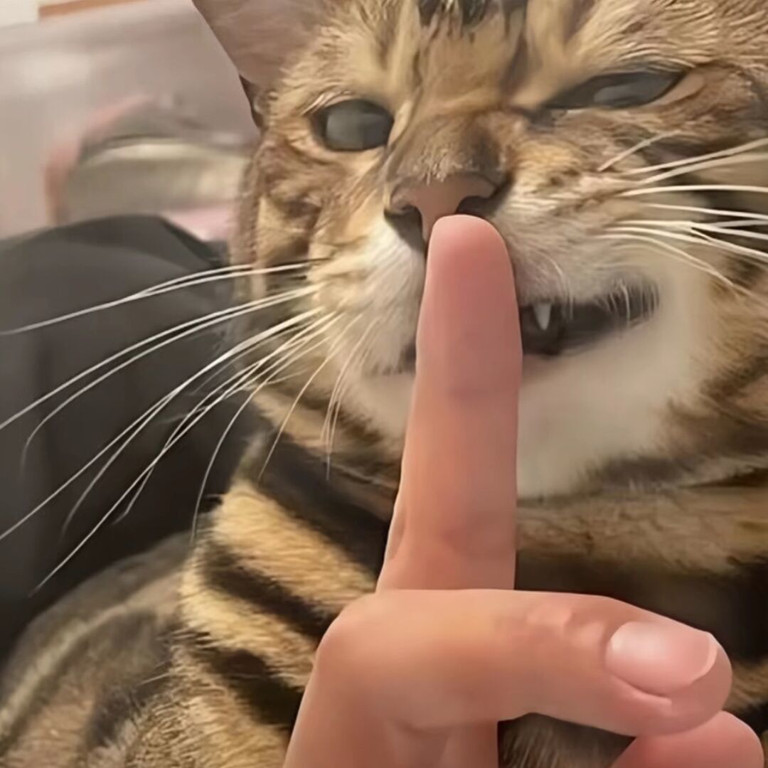 qq_一去风流为少年68