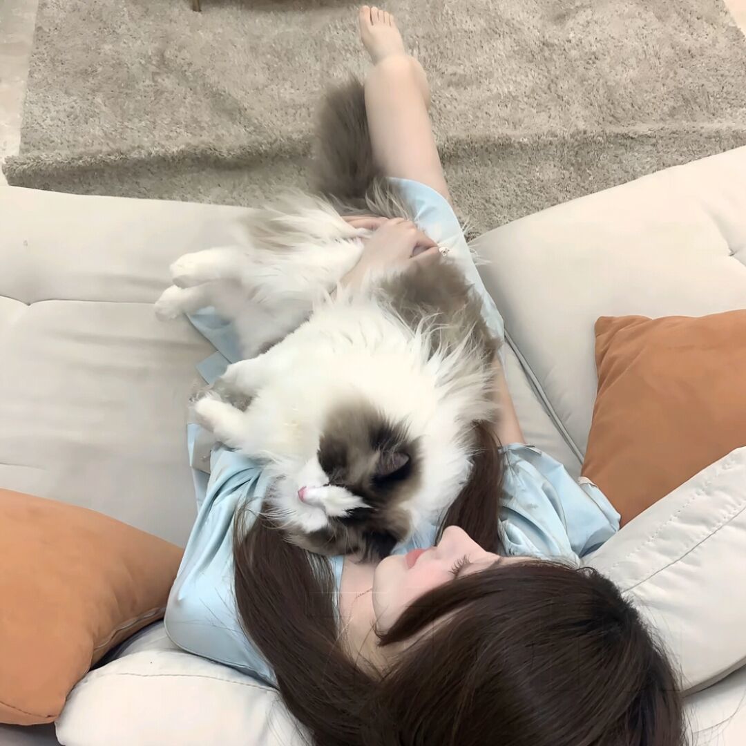 qq_总被帅哥骗24