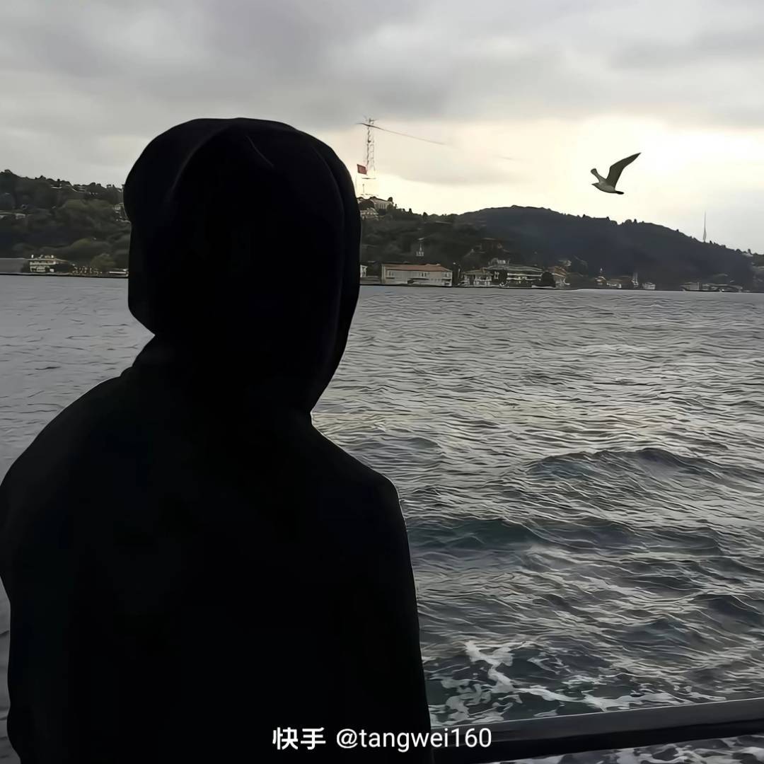 qq_远海46