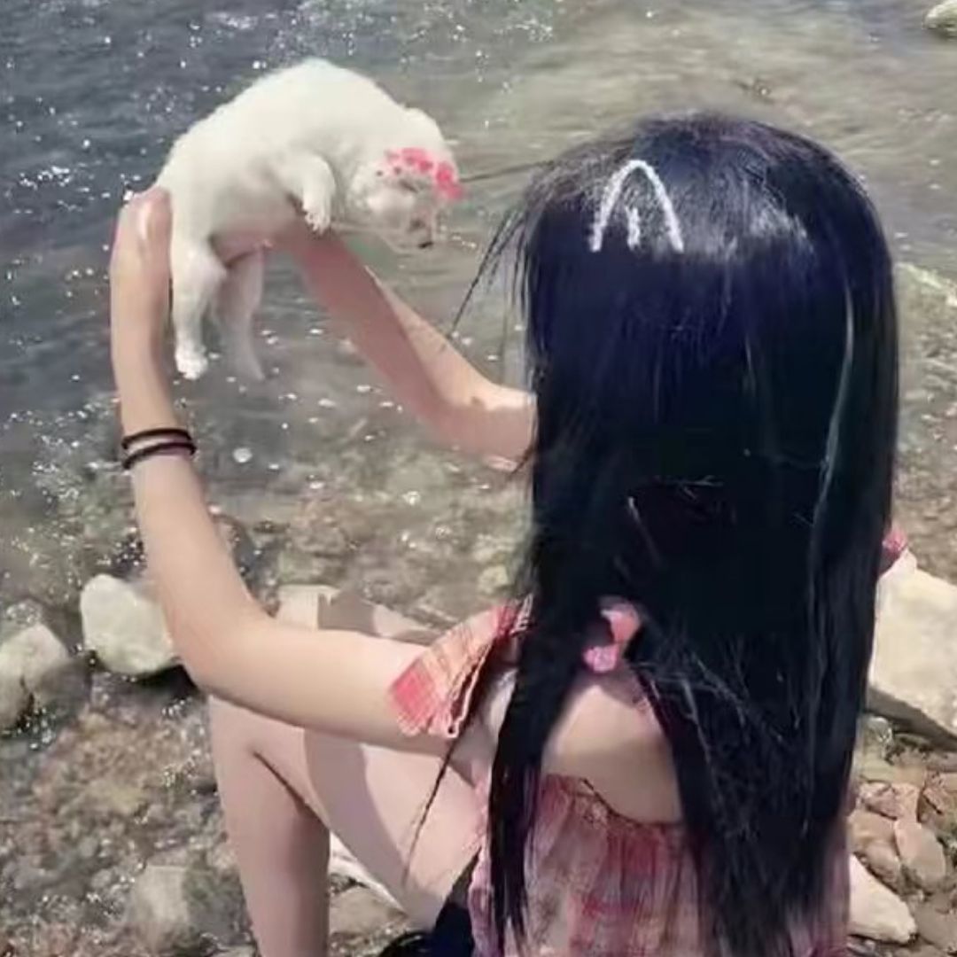 qq_若琳～17