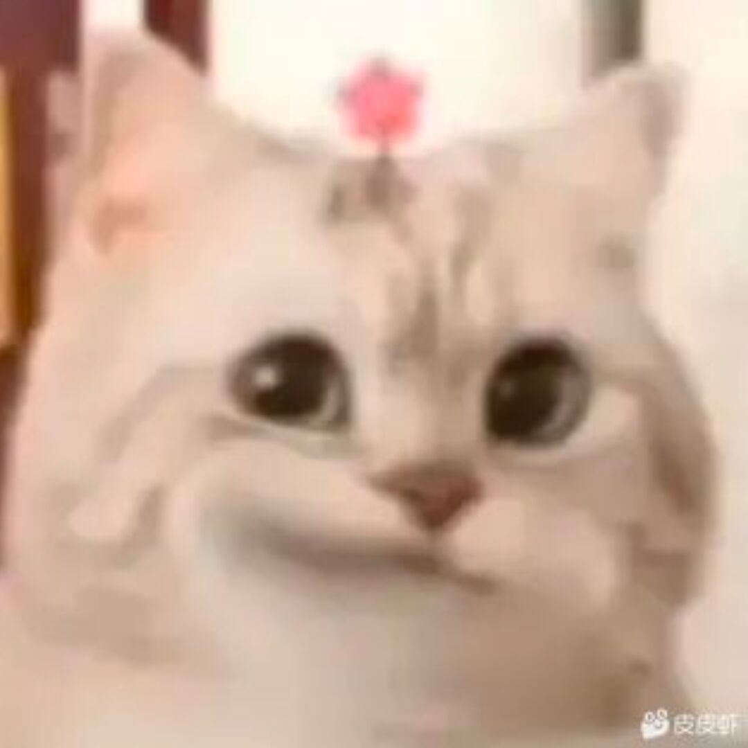 qq_喵桑89