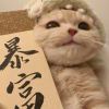 小睡包-【TITAIKE】T太科网