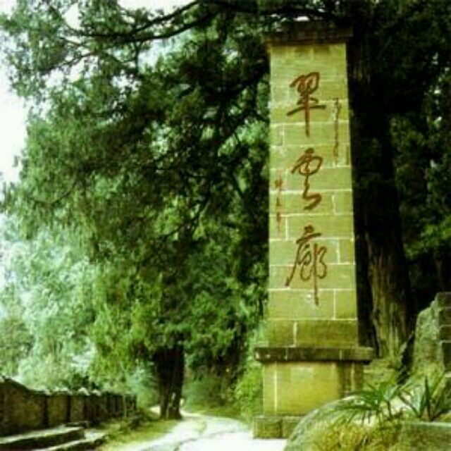 qq_霸王枪插竹筒qiangge95