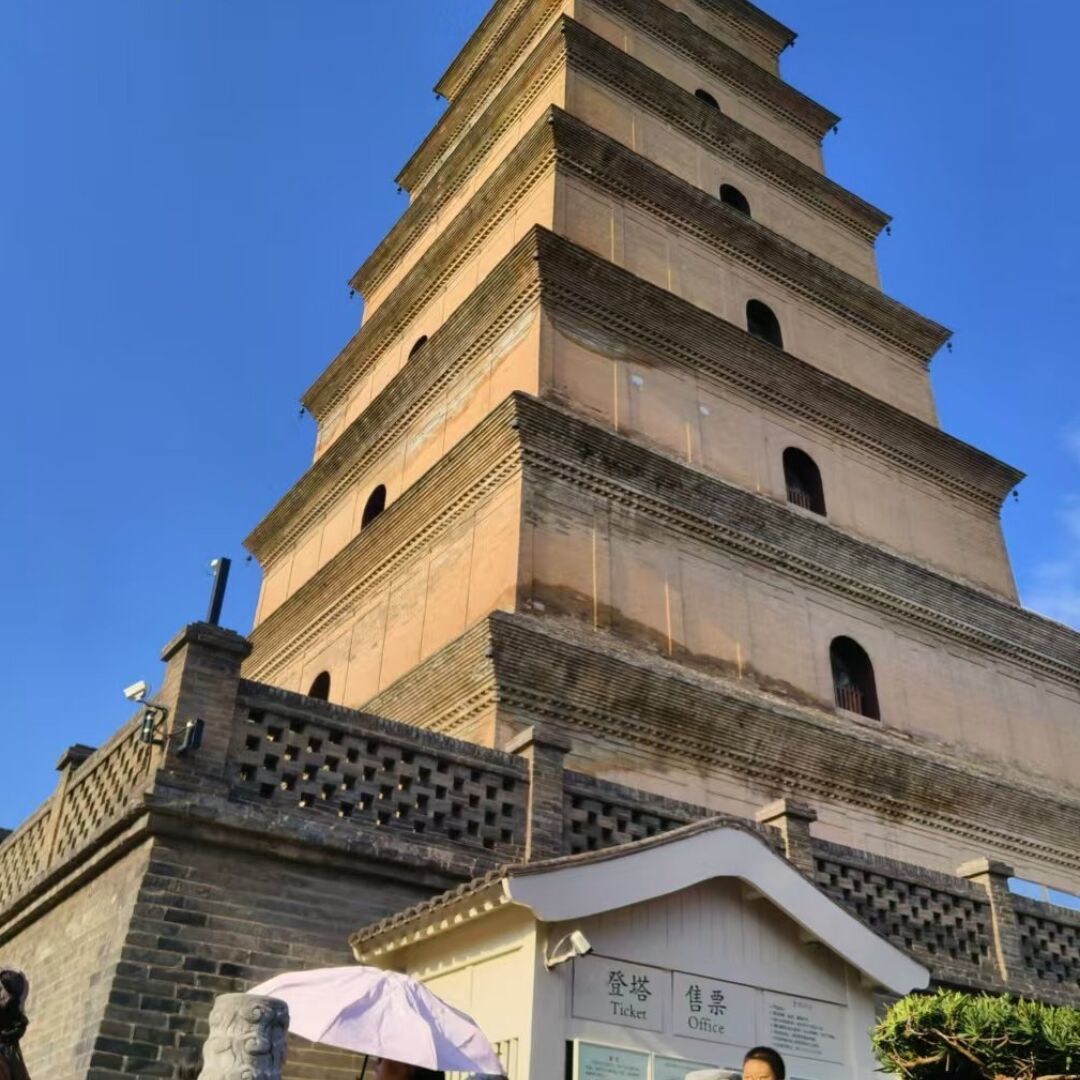 qq_杨智翔81