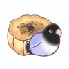 longqwq111-【TITAIKE】T太科网