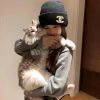 qhy123456-【TITAIKE】T太科网