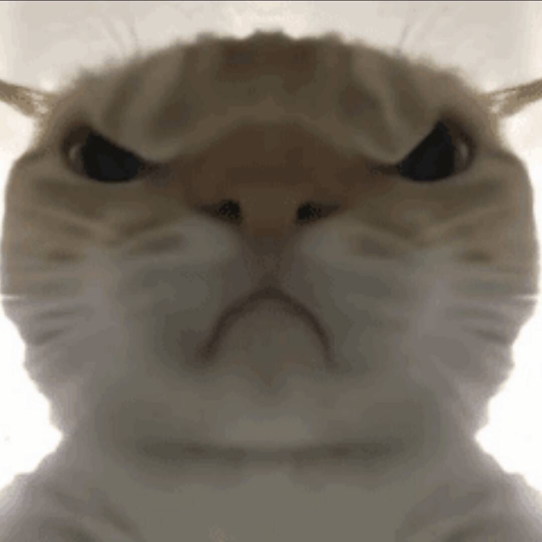 qq_。69